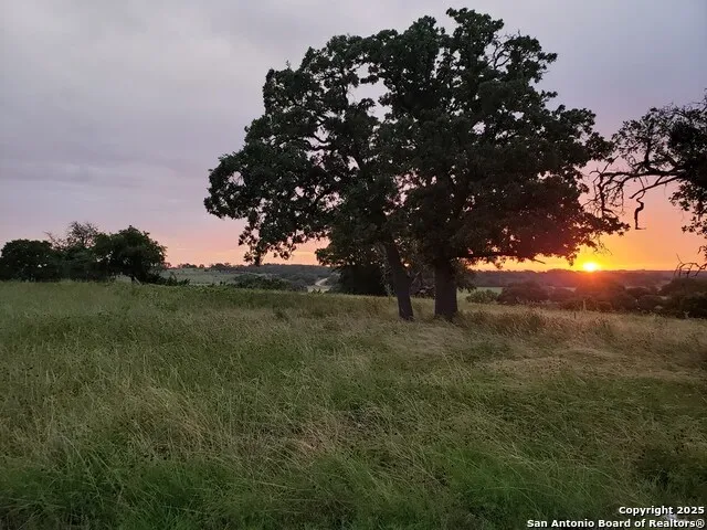 2320 fiedler road Harper, TX 78028
